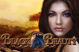 Black Beauty Slot