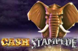 Cash Stampede Slot