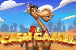 Cash Camel Slot