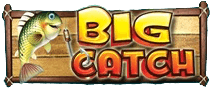 BigCatch logo