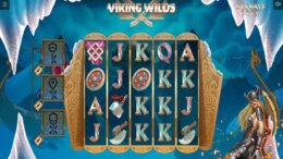 VikingWildsSlot5