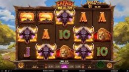 safari of wealth