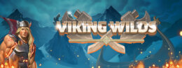 wold wikingz logo