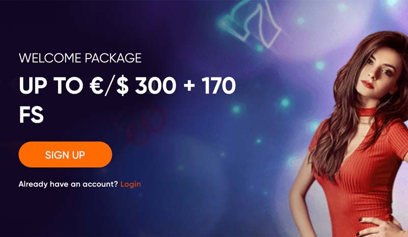 ivibet bonus